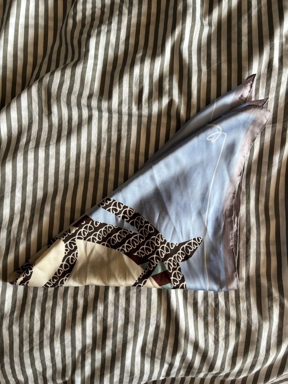 Silk Printed Scarf in Light Blue & Brown